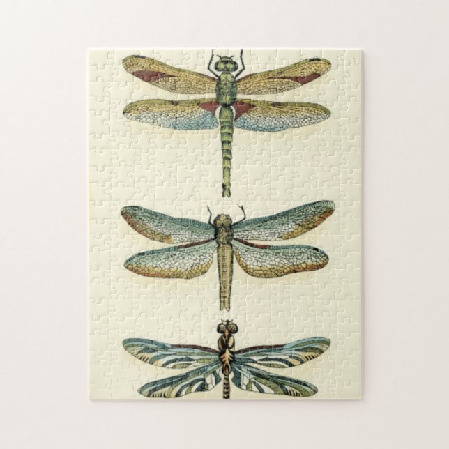Dragonfly Collection by Chariklia Zarris Jigsaw Puzzle (Vertical)