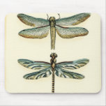 Dragonfly Collection by Chariklia Zarris Mouse Pad