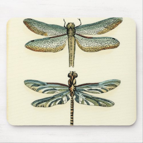 Dragonfly Collection by Chariklia Zarris Mouse Pad
