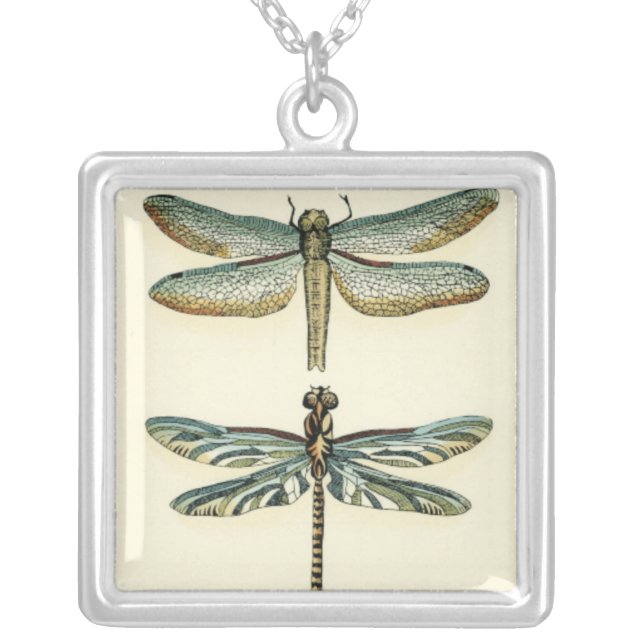 Dragonfly Collection by Chariklia Zarris Silver Plated Necklace (Front)