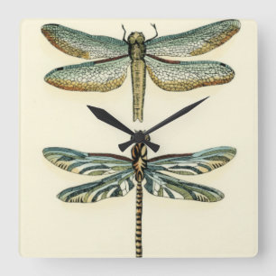 Dragonfly Collection by Chariklia Zarris Square Wall Clock