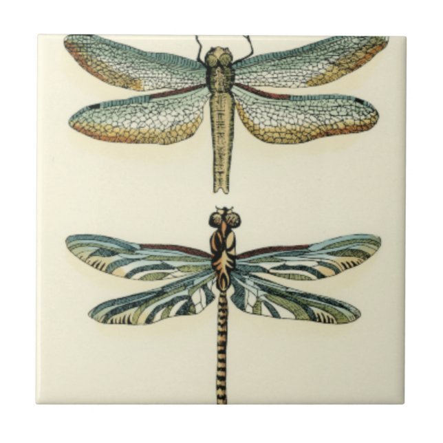 Dragonfly Collection by Chariklia Zarris Tile (Front)