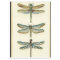 Dragonfly Collection by Chariklia Zarris
