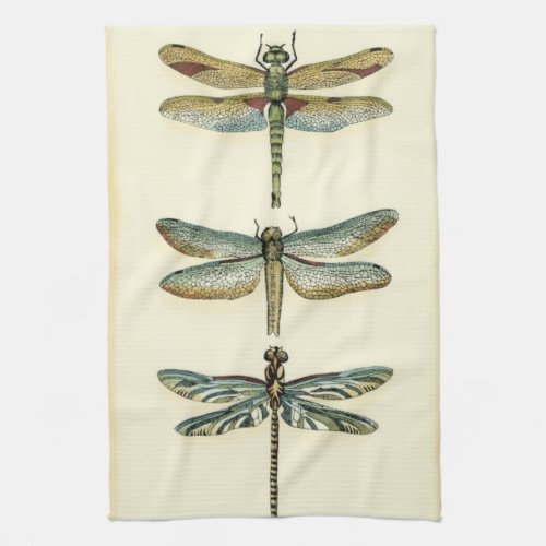 Dragonfly Collection by Chariklia Zarris Towel