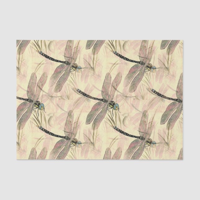 Dragonfly color illustration tissue paper (Front)