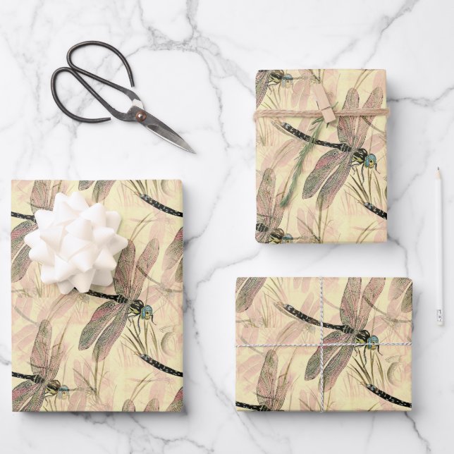 Dragonfly color illustration wrapping paper sheets (Front)
