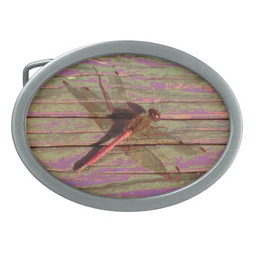 Dragonfly Colorful Belt Buckle