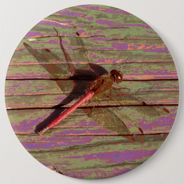 Dragonfly Colorful Button (Front)