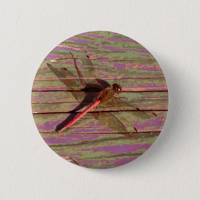 Dragonfly Colorful Button (Front)