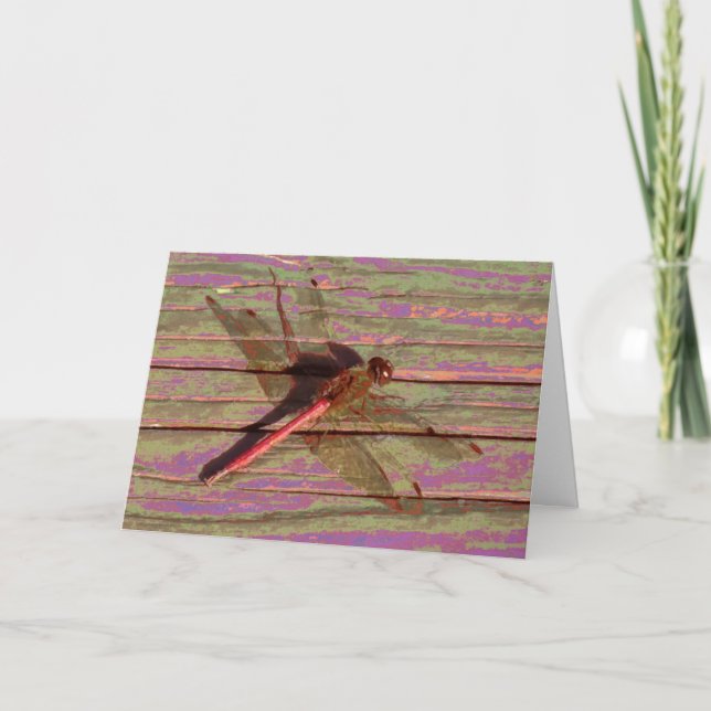 Dragonfly Colorful Card (Front)