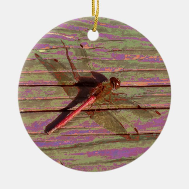 Dragonfly Colorful Ceramic Ornament (Front)