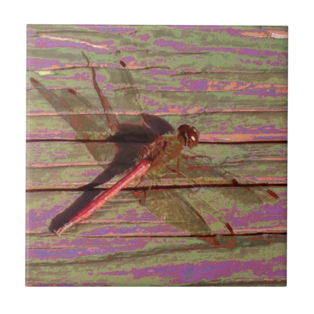 Dragonfly Colorful Ceramic Tile (Front)