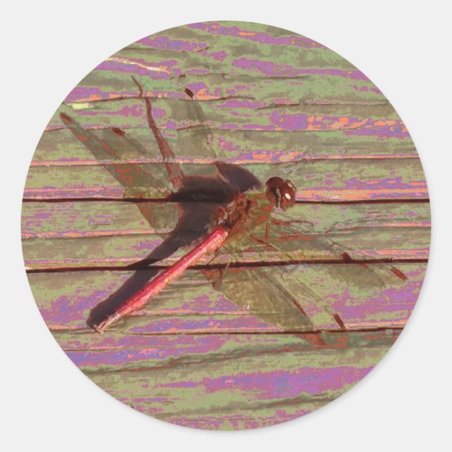 Dragonfly Colorful Classic Round Sticker (Front)