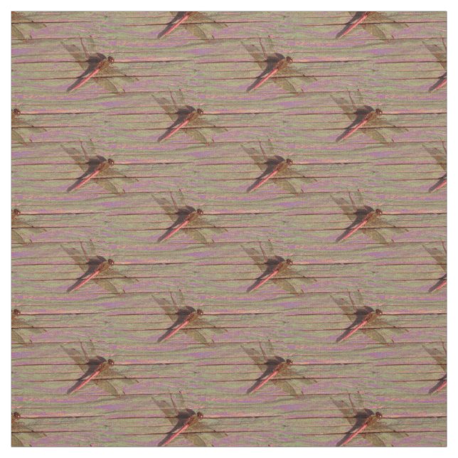 Dragonfly Colorful Fabric (Swatch)