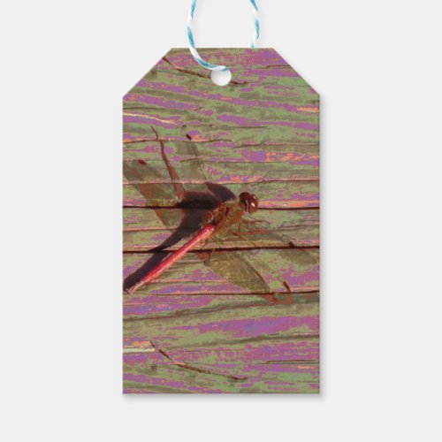 Dragonfly Colorful Gift Tags