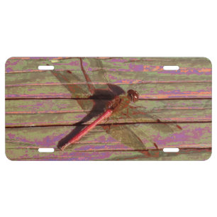 Dragonfly Colorful License Plate