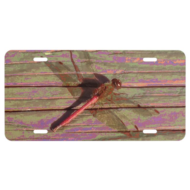 Dragonfly Colorful License Plate (Front)