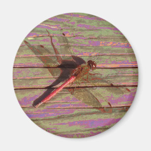Dragonfly Colorful Magnet