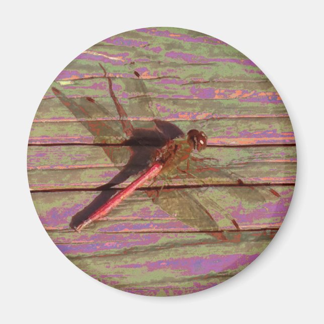 Dragonfly Colorful Magnet (Front)