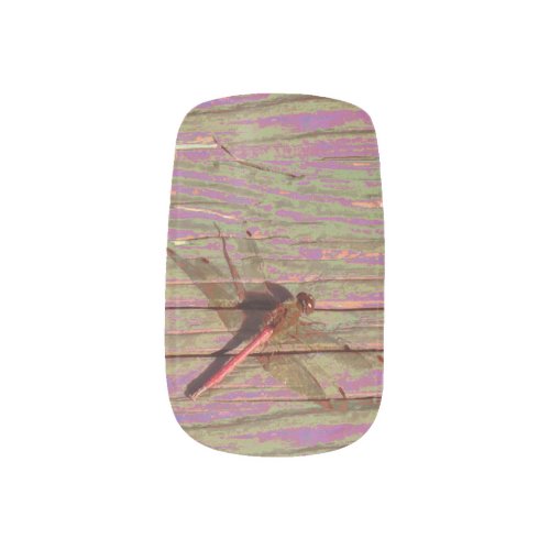 Dragonfly Colorful Minx Nail Art Decals