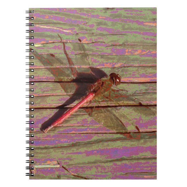 Dragonfly Colorful Notebook (Front)