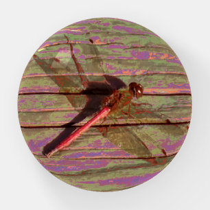 Dragonfly Colorful Paperweight