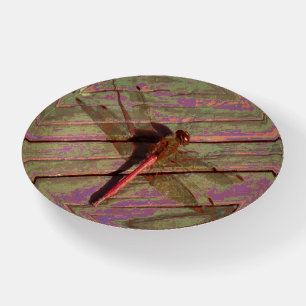 Dragonfly Colorful Paperweight