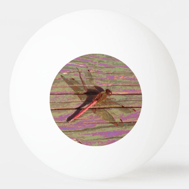 Dragonfly Colorful Ping Pong Ball (Front)