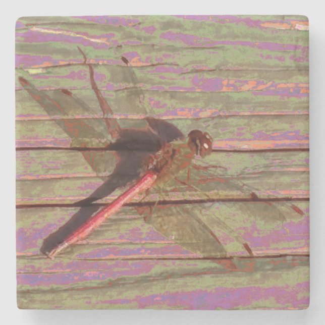 Dragonfly Colorful Stone Coaster (Front)