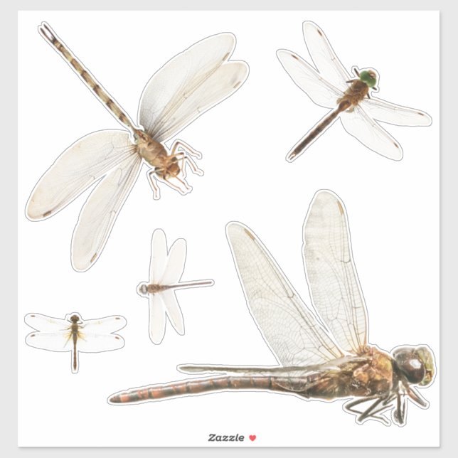  Dragonfly Custom-Cut Vinyl Sticker (Sheet)