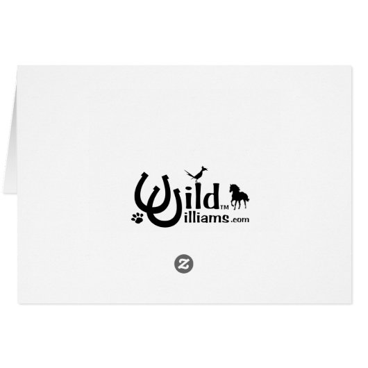 Dragonfly Dance (Back Horizontal)