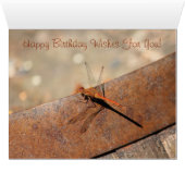 Dragonfly Designer Birthday Card (Inside Horizontal (Bottom))