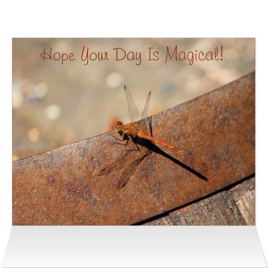 Dragonfly Designer Birthday Card (Inside Horizontal (Top))
