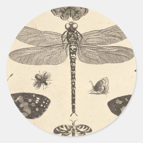 Dragonfly  detail  Vintage Art Classic Round Sticker