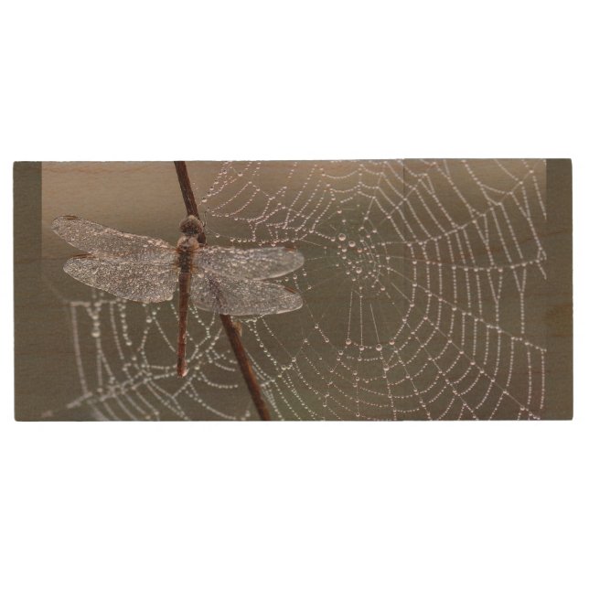 Dragonfly Dew Spiderweb Nature Wilderness Art Wood Flash Drive (Front)