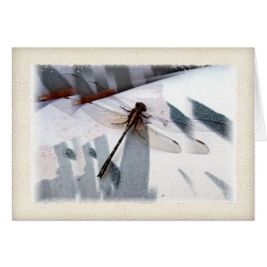 Dragonfly Dimensional Photography Art Cards (Front Horizontal)