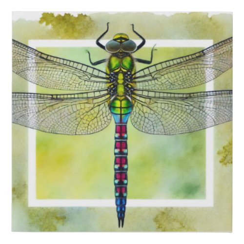 Dragonfly dorsal view 140624IREF116 _ Watercolor Faux Canvas Print