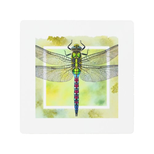 Dragonfly dorsal view 140624IREF116 _ Watercolor Metal Print