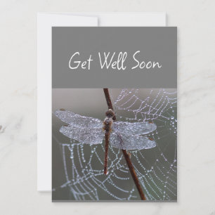 Dragonfly Dragonflies Get Well Soon Card