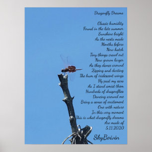 dragonfly dreams poster