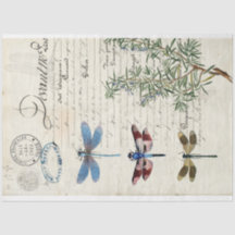 Dragonfly Ephemera Furniture Decoupage Paper
