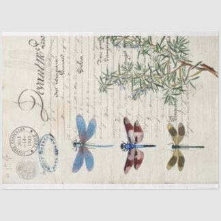 Dragonfly Ephemera Furniture Decoupage Paper