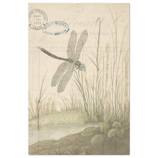 Dragonfly Ephemera Tissue Paper