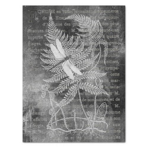 Dragonfly Fern French Grunge Chalkboard Decoupage  Tissue Paper