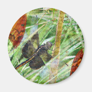 Dragonfly, Fly Away Magnet