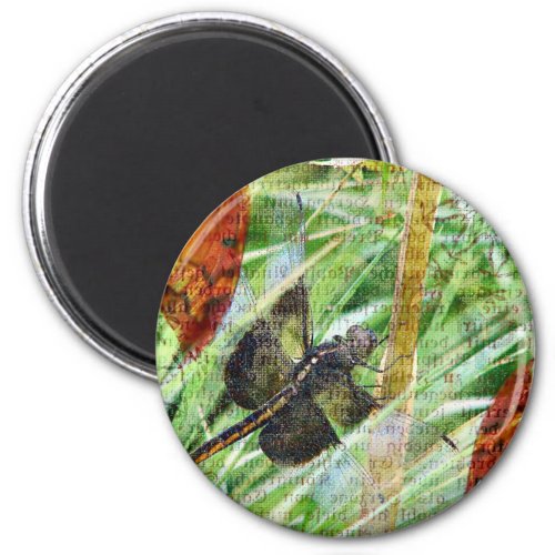 Dragonfly Fly Away Magnet