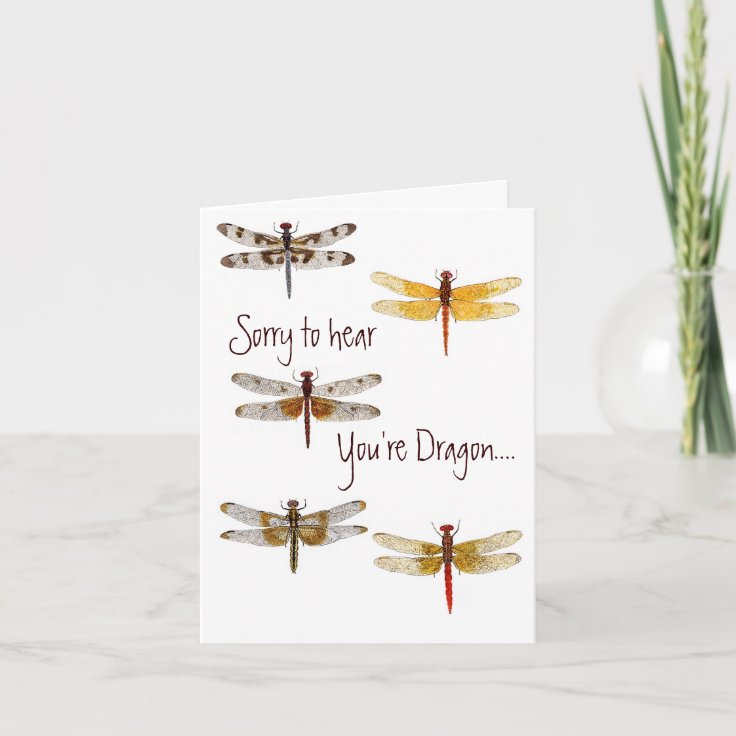 Dragonfly Get Well Card | Zazzle