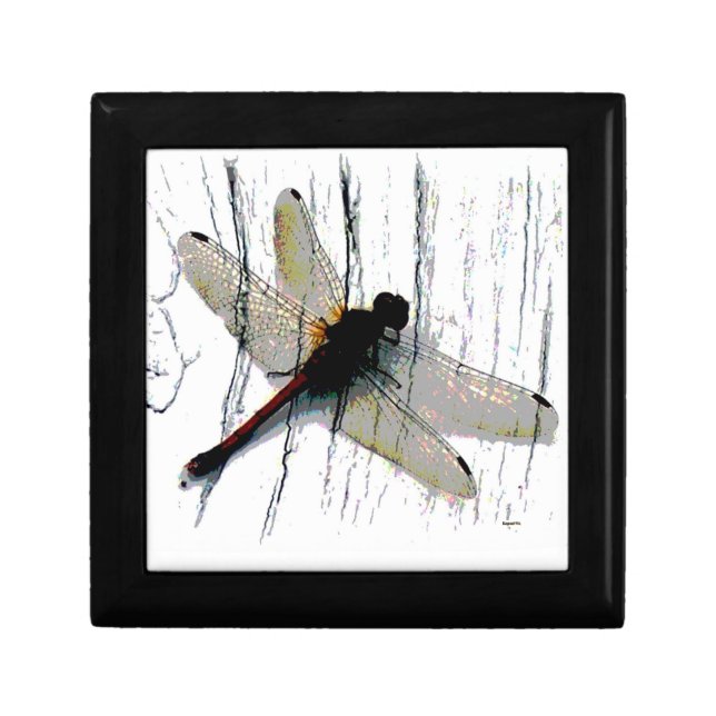 Dragonfly Gift Box (Front)