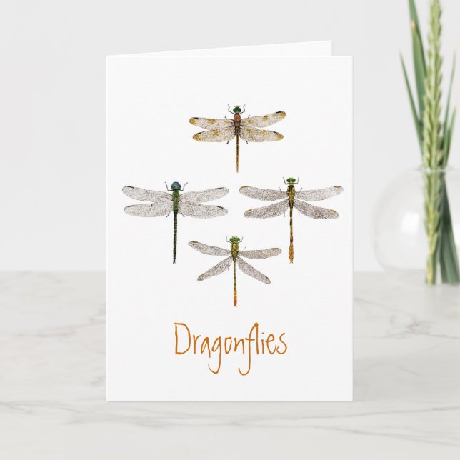 Dragonfly Greeting Card (Front)