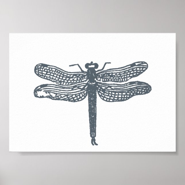 Dragonfly Greys Print (Front)